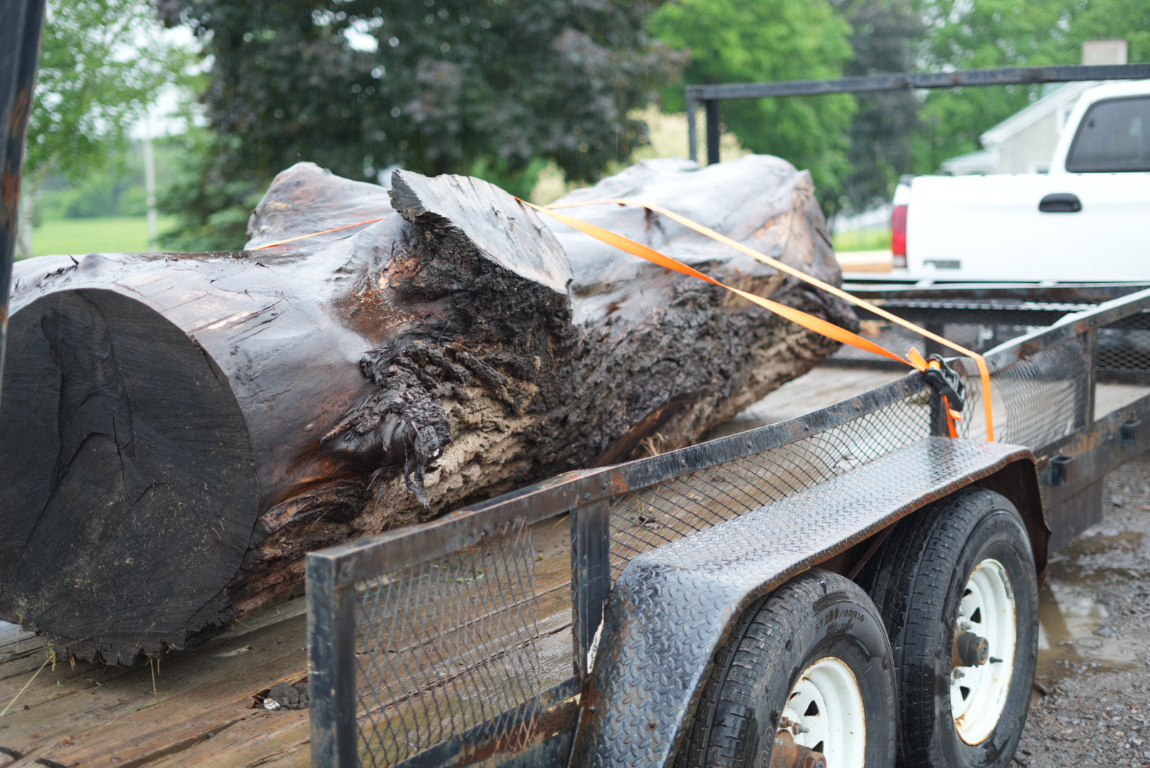 Aurra Wood Co.