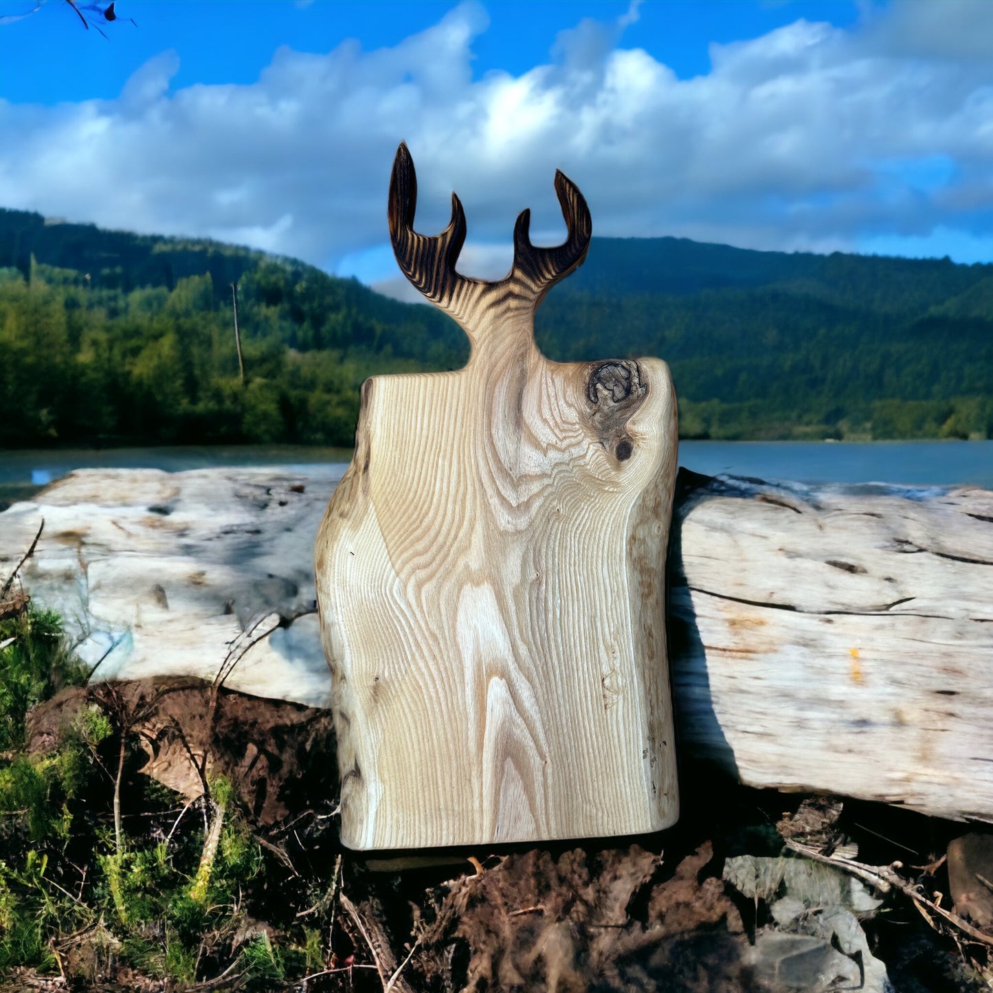 Antler Board