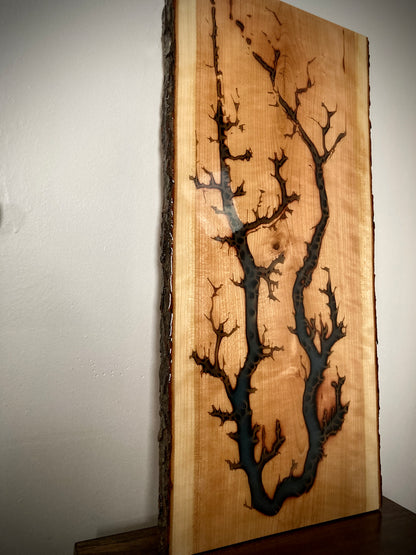 Charred Board